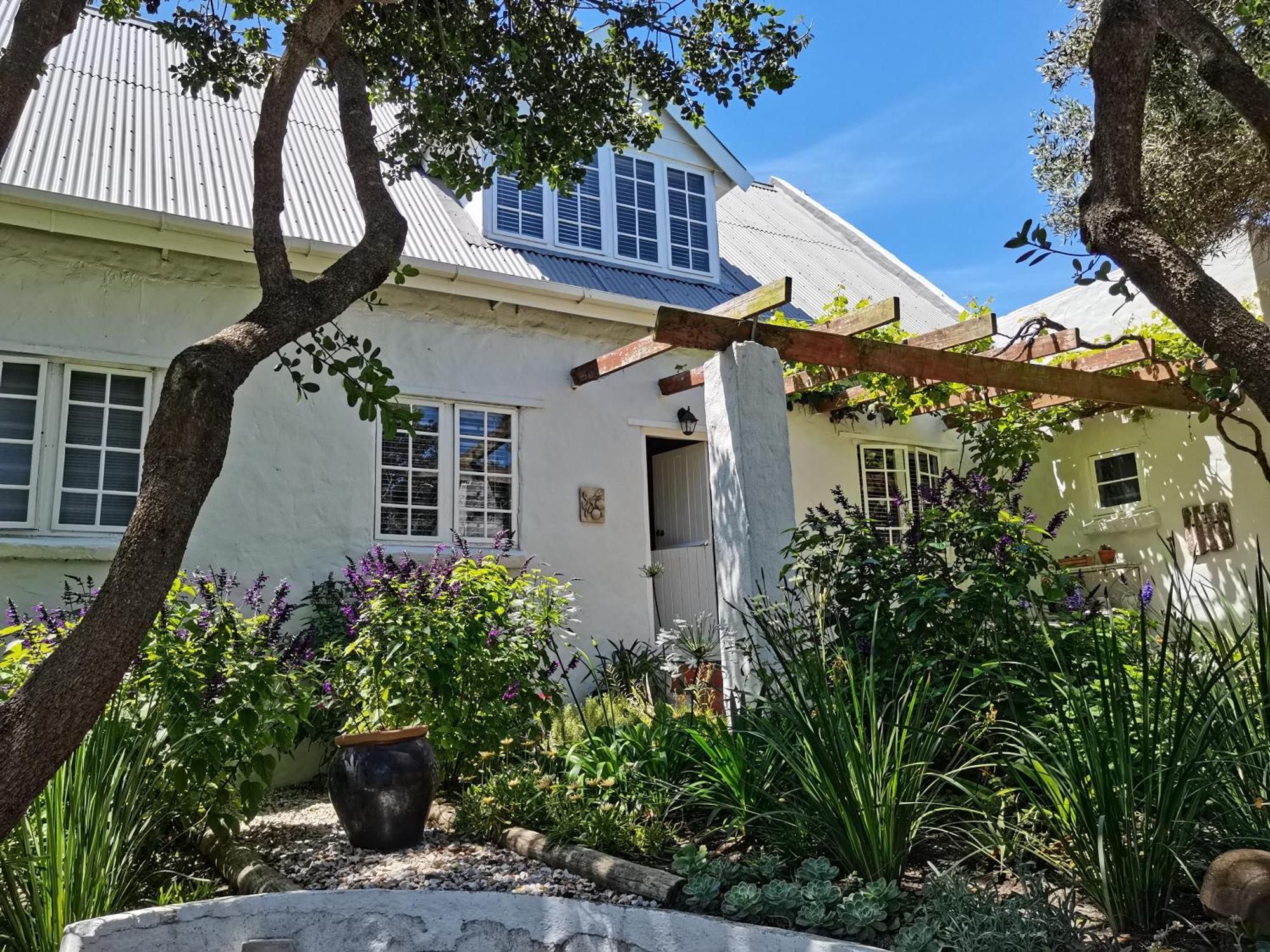Vermont Lofts Hermanus Exteriör bild